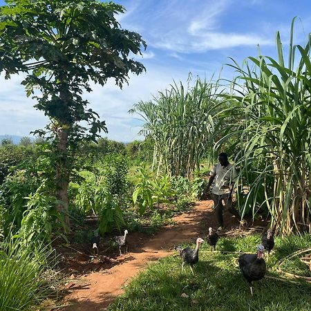 Rutete Eco Lodge Rwinkwavu Dış mekan fotoğraf