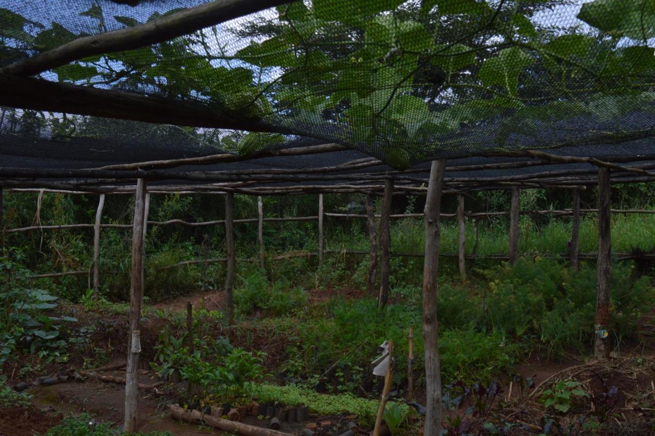 Rutete Eco Lodge Rwinkwavu Dış mekan fotoğraf