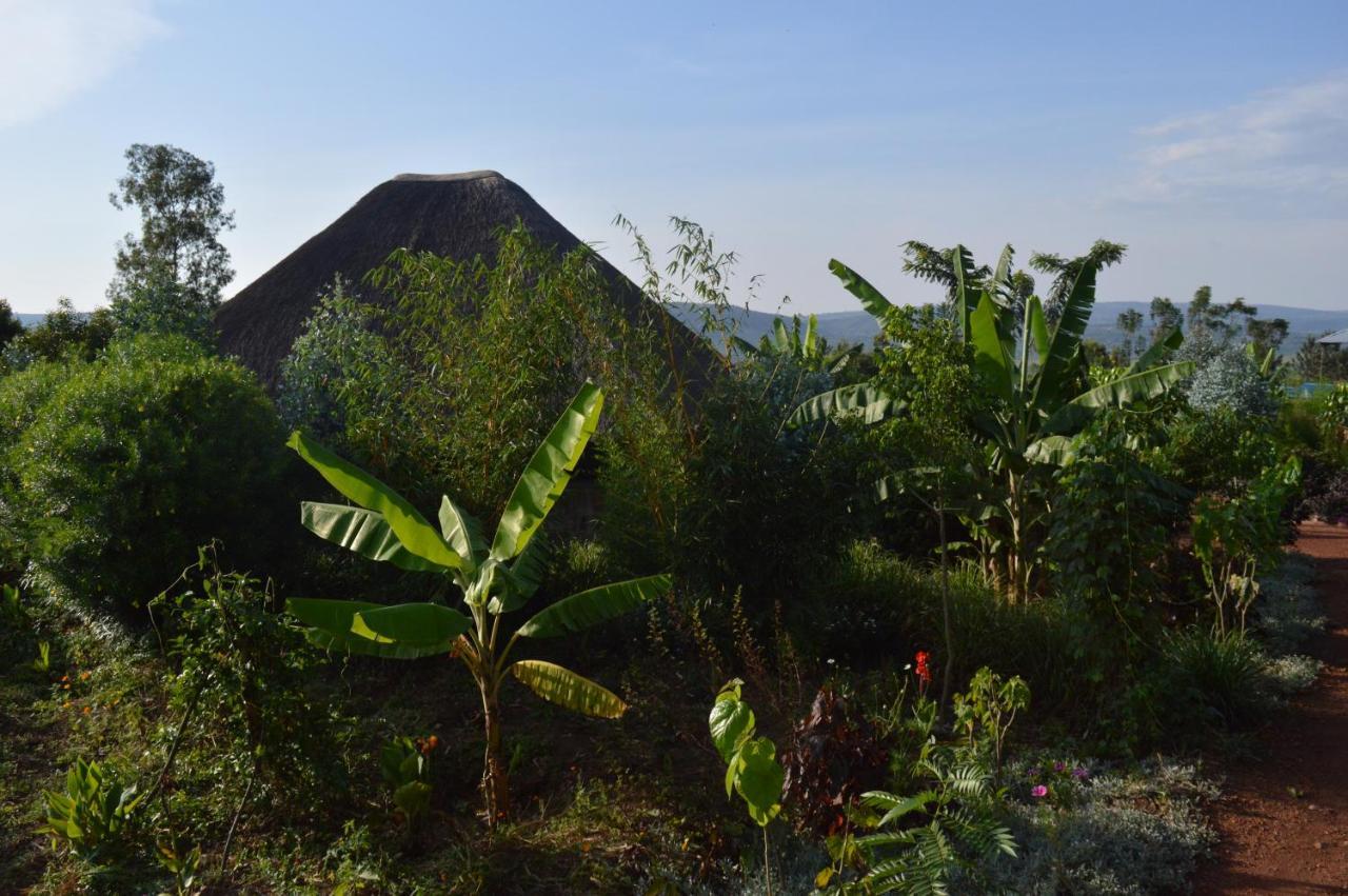 Rutete Eco Lodge Rwinkwavu Dış mekan fotoğraf