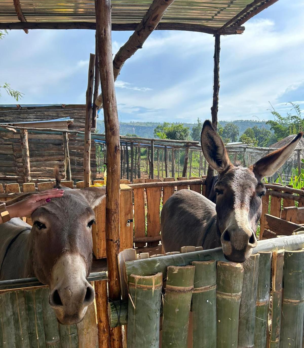 Rutete Eco Lodge Rwinkwavu Dış mekan fotoğraf